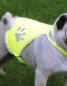 Preview: Warnwesten für Hunde