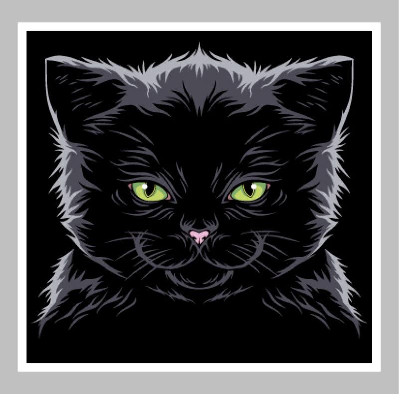 Bügelbild schwarze Katze